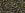 Beads wholesaler  - cc83 - Toho Treasure beads 11/0 metallic iris brown (5g)