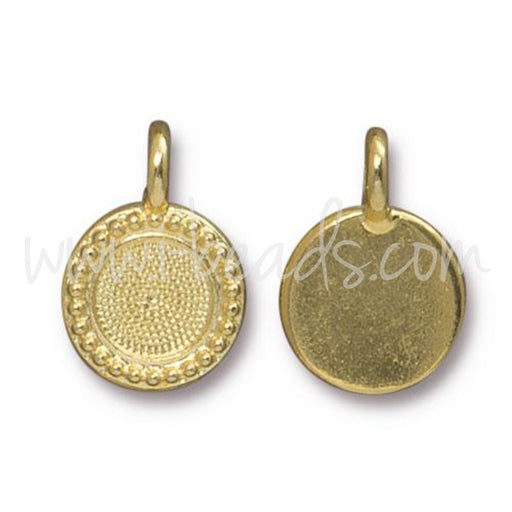 Charm pendant frame for Swarovski 2088 SS34 gold (1)