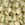 Beads Retail sales Cc2021 - Miyuki tila beads mat cream 5mm (25 beads)