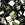Beads wholesaler  - Cc458 - Miyuki tila beads brown iris 5mm (25 beads)
