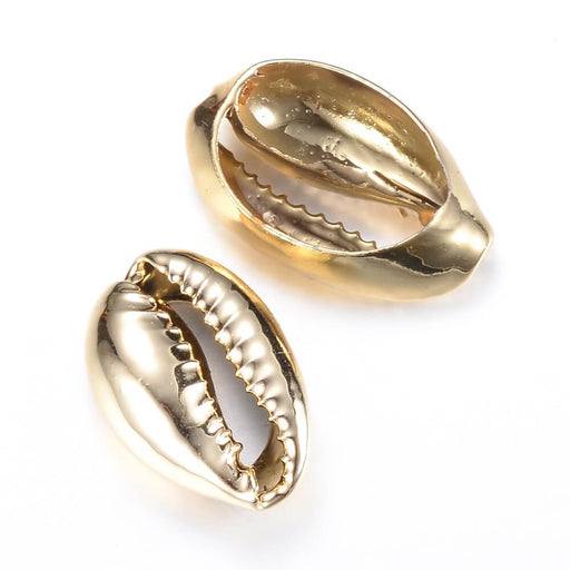 Cowrie shell brass gold appx 20mm (1)