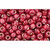 cc2113 - Toho beads 8/0 silver lined milky pomegranate (10g)