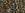 Beads Retail sales cc262 - Toho Treasure beads 11/0 inside colour crystal/gold lined (5g)