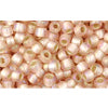 cc2031f - perles de rocaille toho 8/0 silver lined frosted rainbow rosaline (10g)
