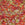 Beads wholesaler  - Miyuki Delica 11/0 tango mix (5g)