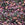 Beads wholesaler  - Miyuki Delica 11/0 lavender garden mix (5g)