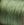 Beads wholesaler  - braided nylon cord - 0.4mm - olive green (sold by 3m)