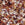 Beads Retail sales Miyuki Delica 11/0 honey butter mix (5Og)