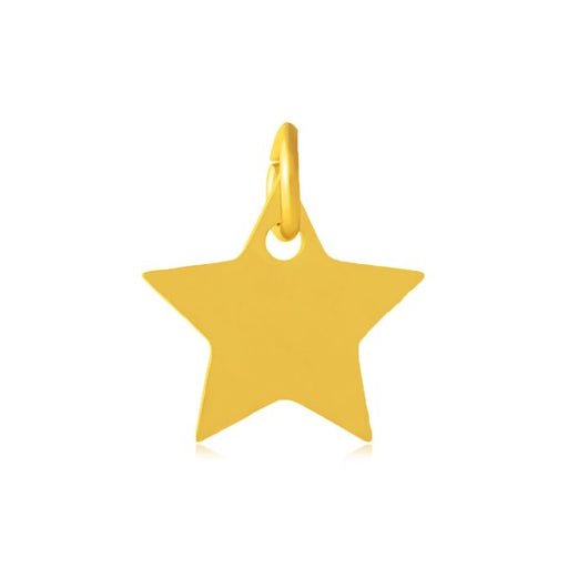 Stainless Steel Pendants, Star with jump ring, Golden, 12mm (1)