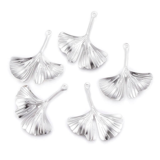 Stainless Steel Pendants, Ginkgo, Stainless Steel Color 29x25mm (1)