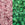 Beads wholesaler  - cc2720 - Toho beads 11/0 Glow in the dark pink/yellow green (10g)