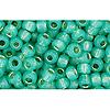 cc2119 - Toho beads 8/0 silver lined milky dark peridot (10g)