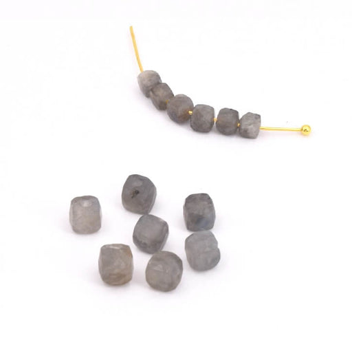 Cube facetted beads Labradorite 3.5mm hole: 0.6mm (10)
